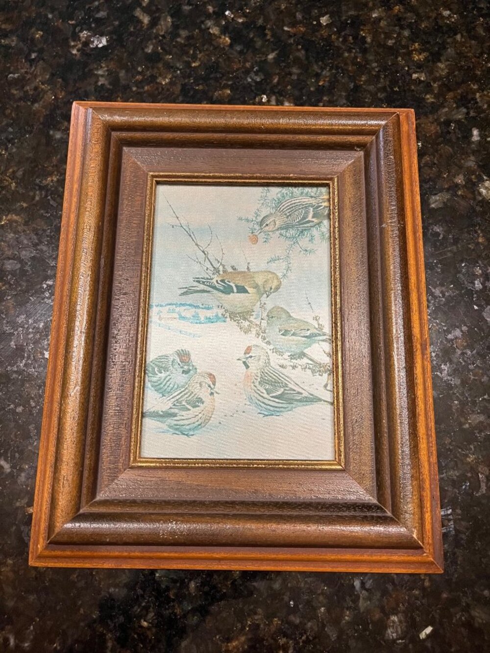 Wood Framed Iridescent Bird Winter Picture A971